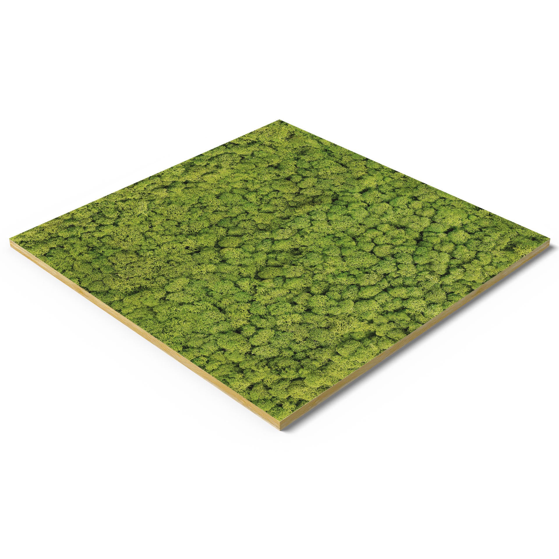 Akustik-Deckenpaneele 60x60cm - Moos 6er-Set